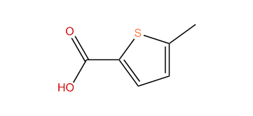 2-Methyl-5-thiophenecarboxylic acid